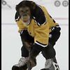 aj_nhl