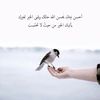 nahed6311an