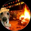 ane_velosso