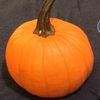 pumpkinseenroundtheworld