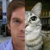 meoweeeeeeeeeeeee