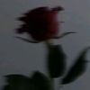 haseebnasir211