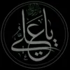 zeaa__313