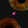 aminaekx