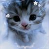 khsnaa_naa