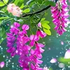 user9471151054686