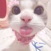 putxrzy