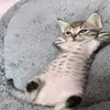 chapyyyy_