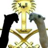 hamody_992