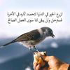 abohamad054