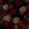 quynh2803.6