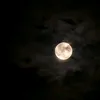 chuthao_171
