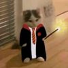 rafirafi_9