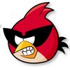 redbird807