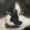 cathie324j