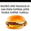finnishbigbook