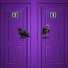 doorsbirdstophatspurple