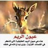 007q8bonaser