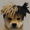 xxxdogetacion