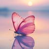 aishubabygul_2412
