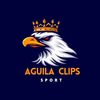 aguila1501