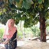 anissyazleen