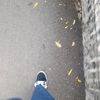 specxtzyy2