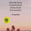 hanguyen123o5