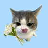 ssintta_4