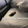 lithimii