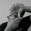 .damulagg
