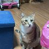 yuki01018