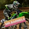ankitbarmeli07