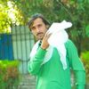 armanmohmand0