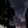 torino_1310