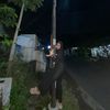 cebolaee09