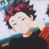 aki.dch