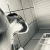 apollo_4m_