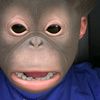 whoisdiegoff
