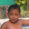tarabibat008