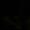 mahmad.xoshnaw.721