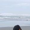 zefyyr29