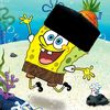 revan.farid