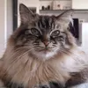 urzeitboy