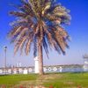 user010464739
