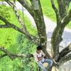 tanimvai2k2