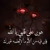 samizebari17