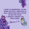 neinhamariano1