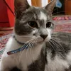 mikro_pony99
