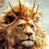 mohammedshawani24